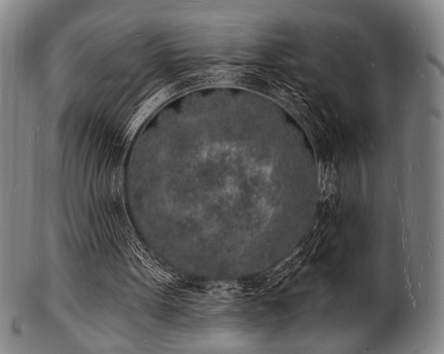 X0000101690099200807101522