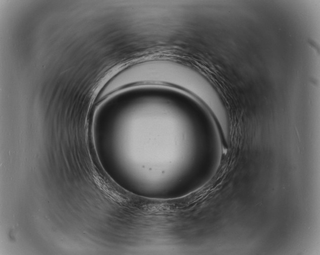 X0000101690100200807101522