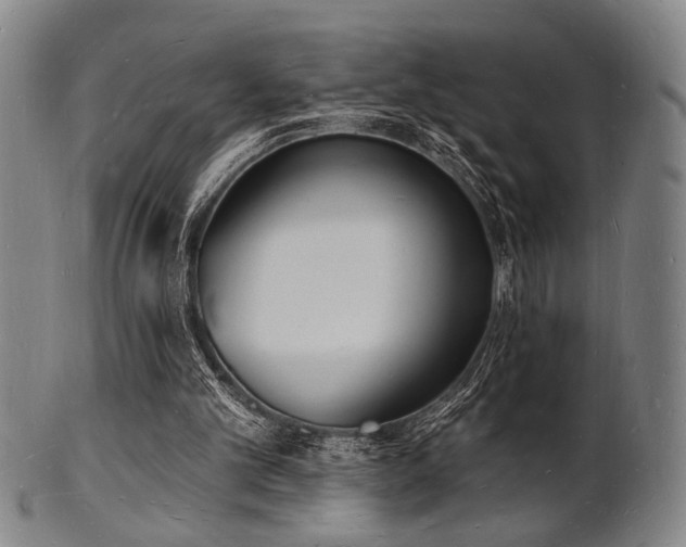 X0000101690101200807101522