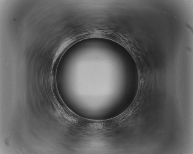 X0000101690102200807101522