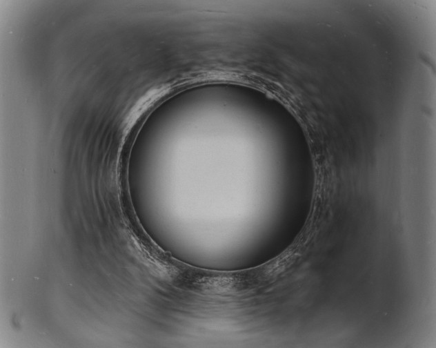 X0000101690104200807101522