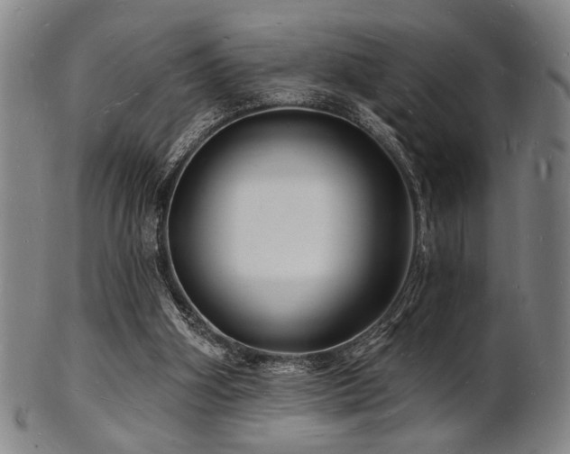 X0000101690106200807101522