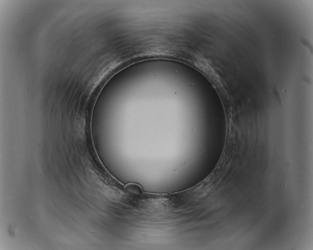 X0000101690108200807101522