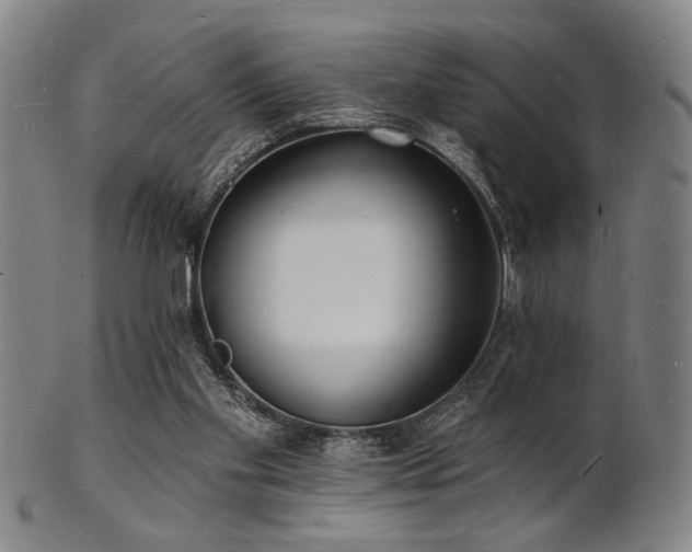 X0000101690109200807101522