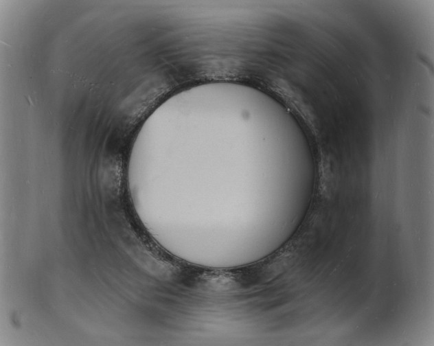 X0000101690113200807101522