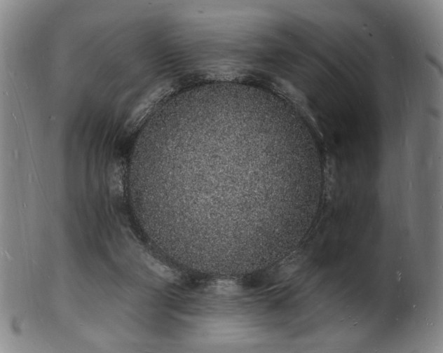 X0000101690114200807101522