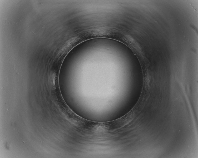 X0000101690115200807101522