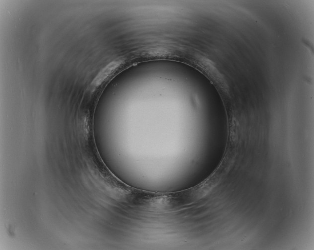 X0000101690116200807101522