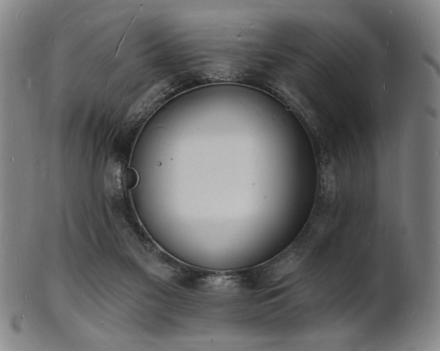 X0000101690117200807101522