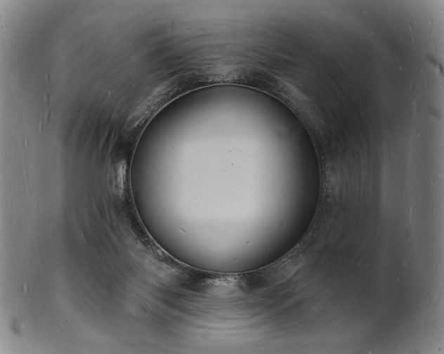 X0000101690118200807101522