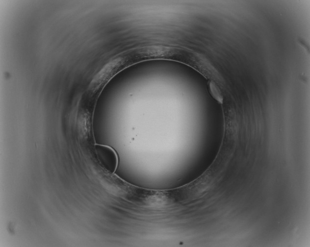 X0000101690119200807101522