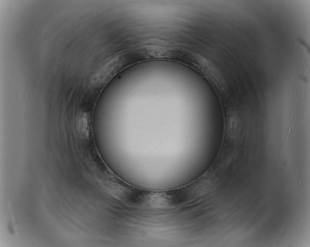 X0000101690121200807101522