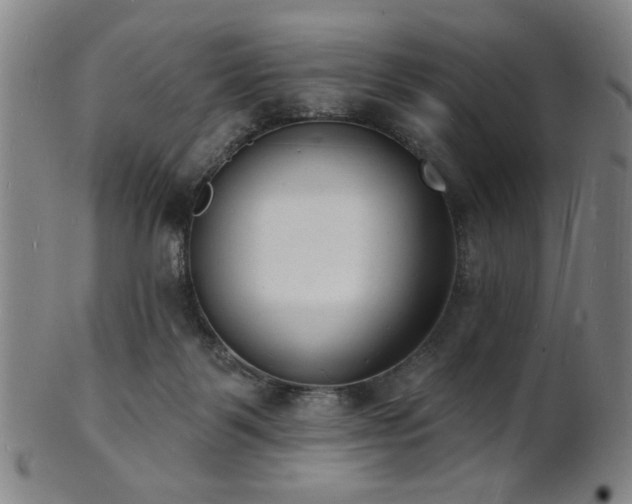 X0000101690123200807101522