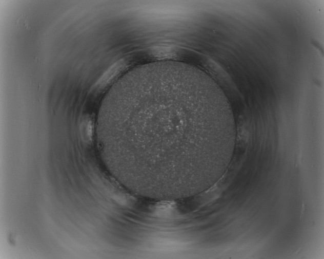 X0000101690124200807101522