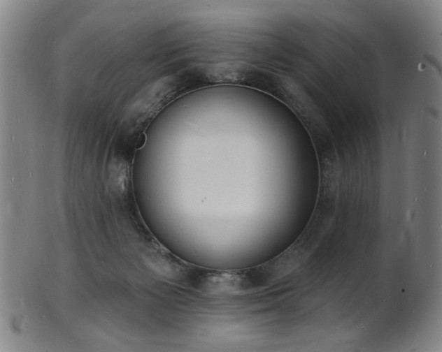 X0000101690125200807101522