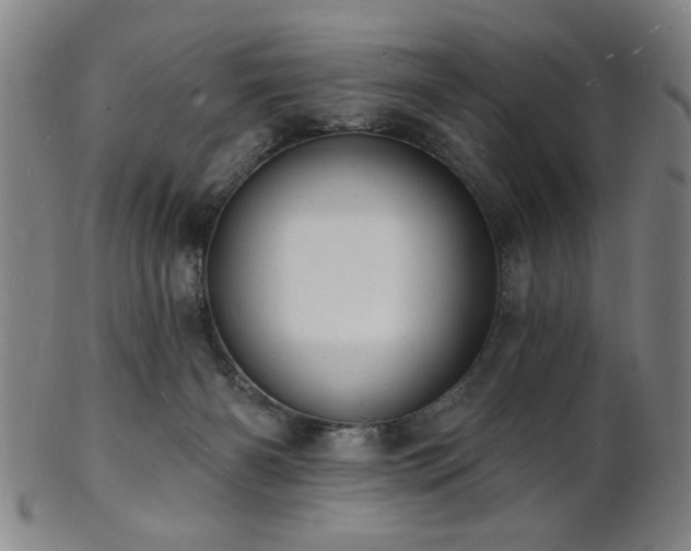 X0000101690126200807101522