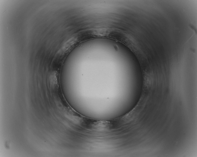 X0000101690128200807101522