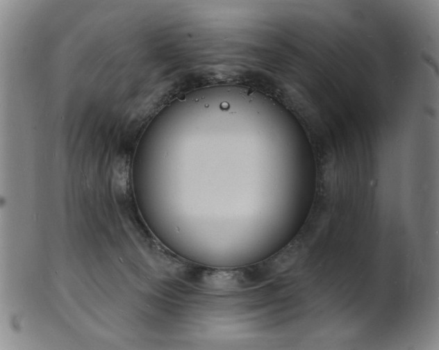 X0000101690129200807101522