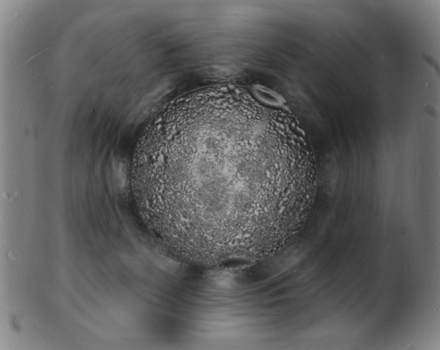 X0000101690131200807101522