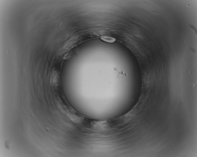 X0000101690132200807101522