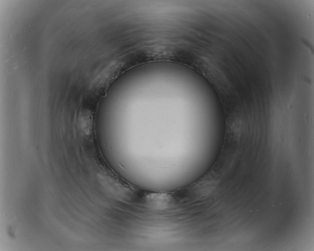 X0000101690133200807101522