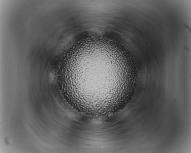 X0000101690134200807101522