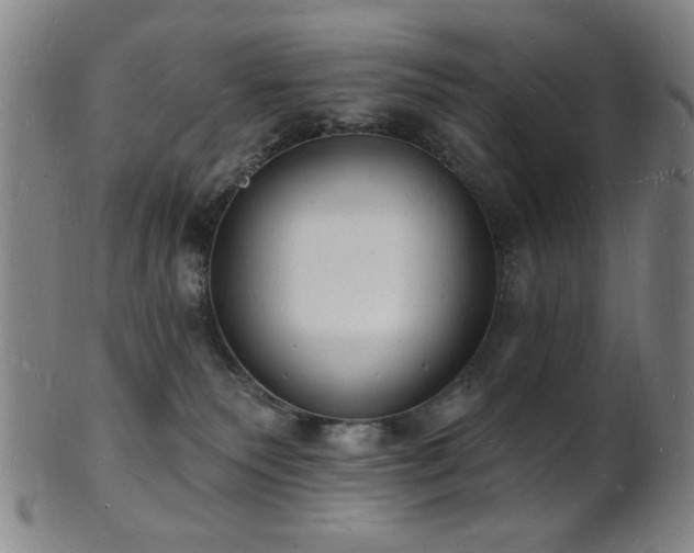 X0000101690135200807101522