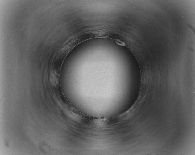 X0000101690136200807101522