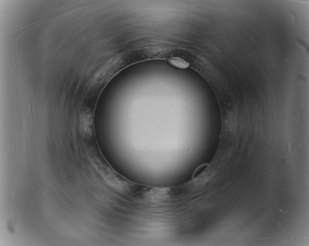 X0000101690138200807101522