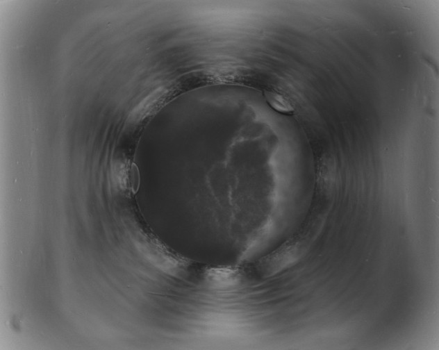 X0000101690139200807101522