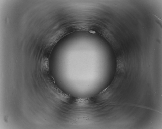 X0000101690141200807101522