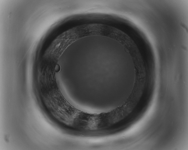 X0000101690143200807101522