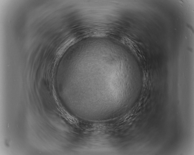 X0000101690145200807101521