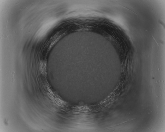 X0000101690146200807101521