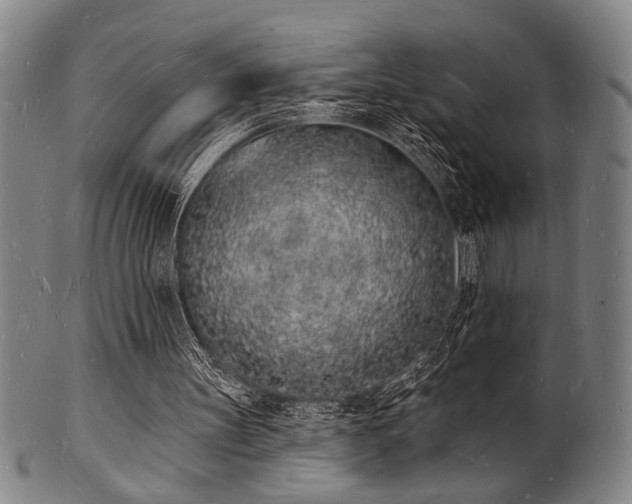 X0000101690147200807101521