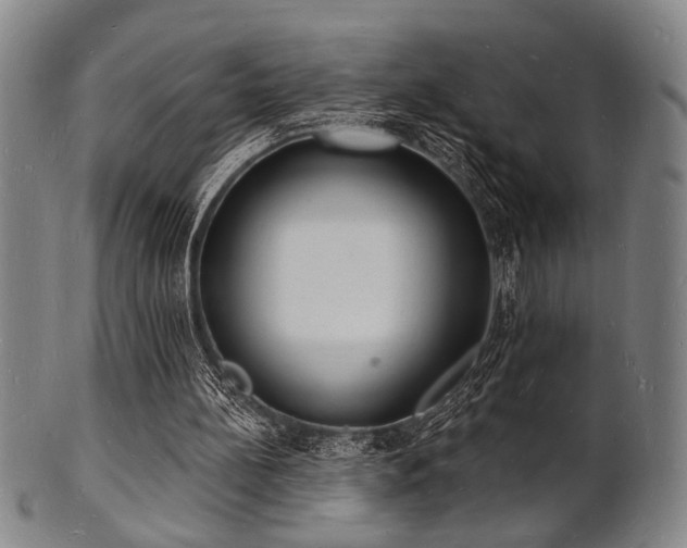 X0000101690148200807101521