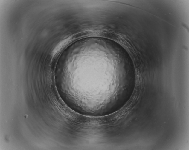 X0000101690149200807101521