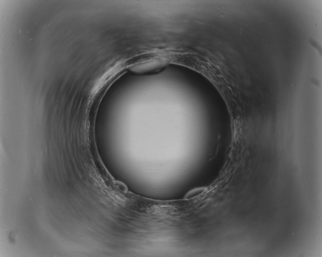 X0000101690150200807101521