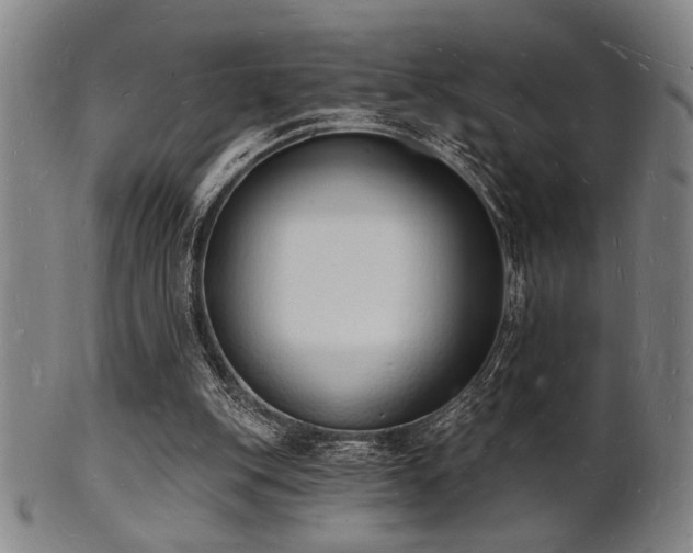 X0000101690151200807101521