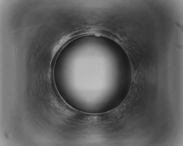 X0000101690152200807101521