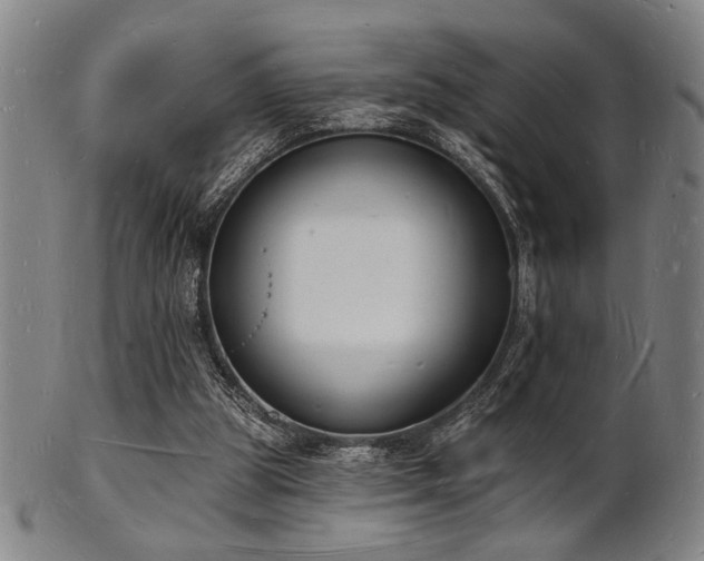 X0000101690153200807101521