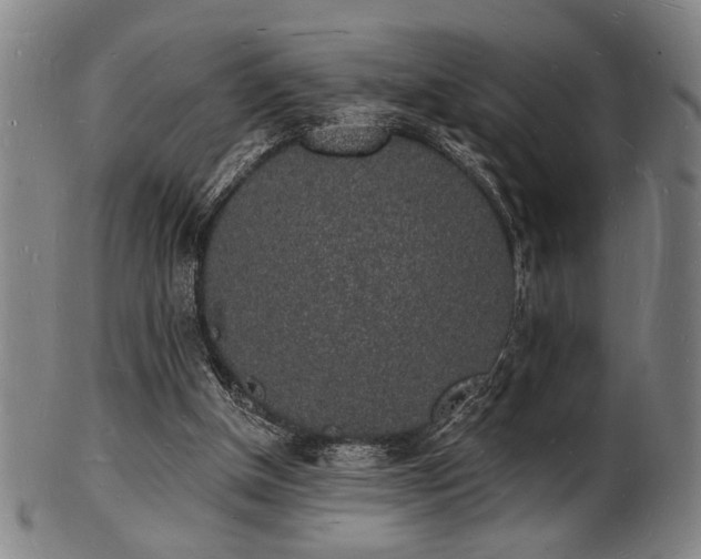 X0000101690154200807101521