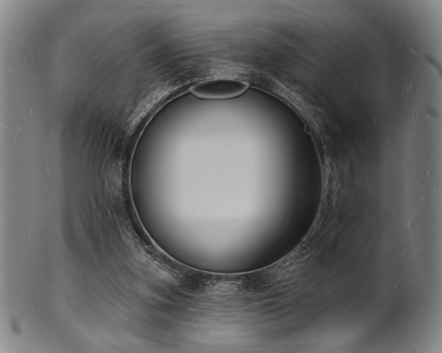 X0000101690155200807101521