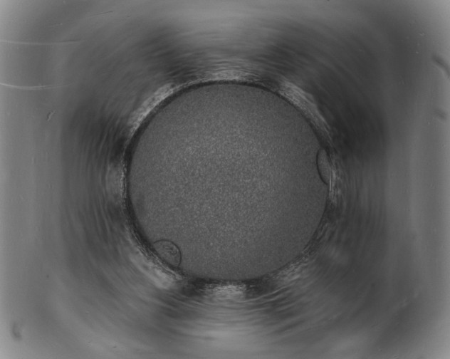 X0000101690156200807101521