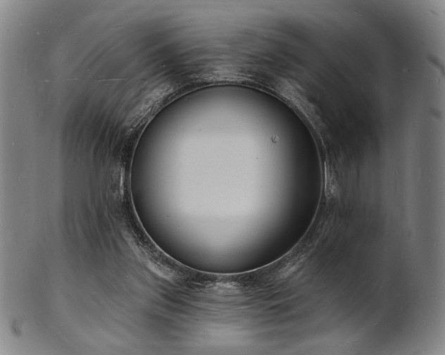 X0000101690157200807101521