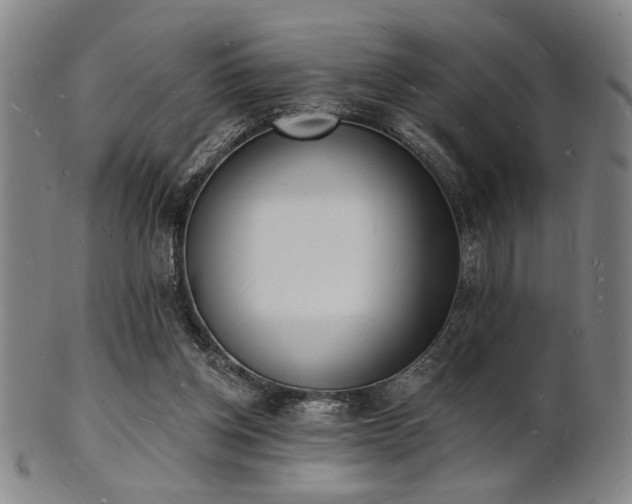 X0000101690158200807101521