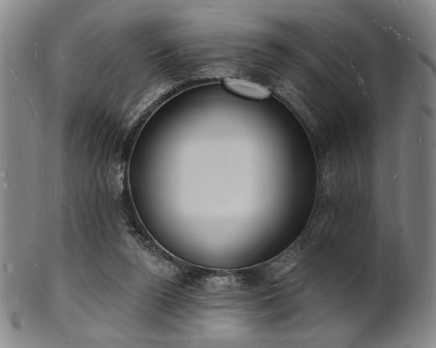 X0000101690160200807101521