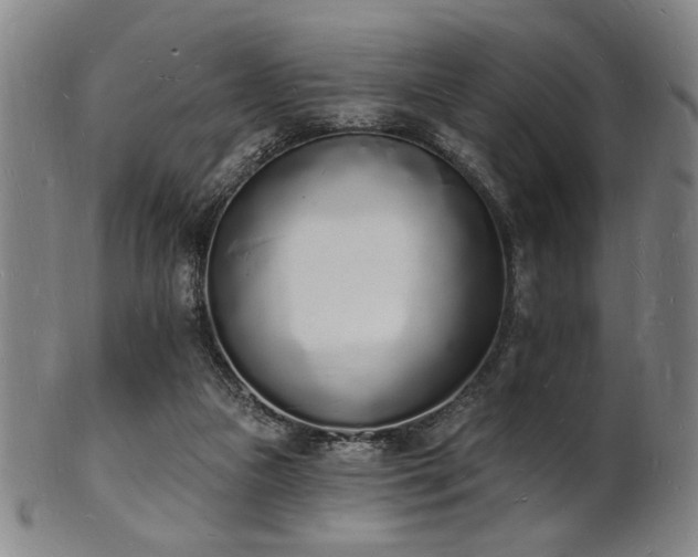 X0000101690161200807101521