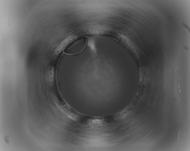 X0000101690163200807101521