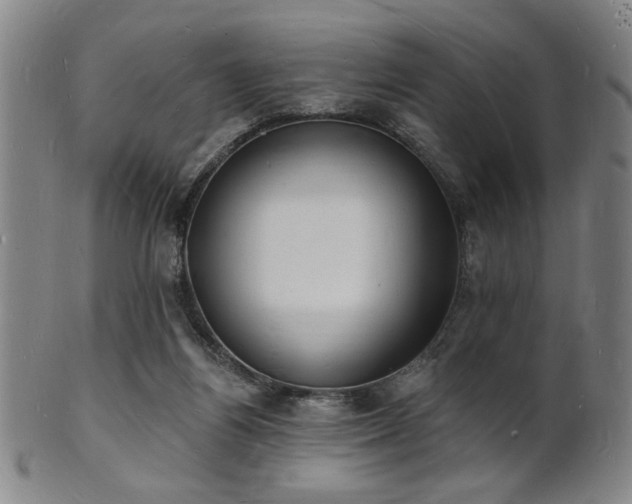 X0000101690164200807101521